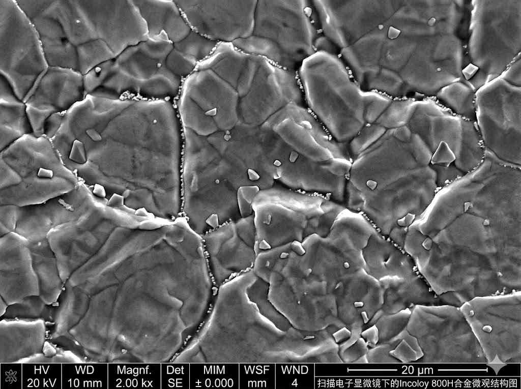 What Are Key Incoloy Alloy Applications in Petrochem?